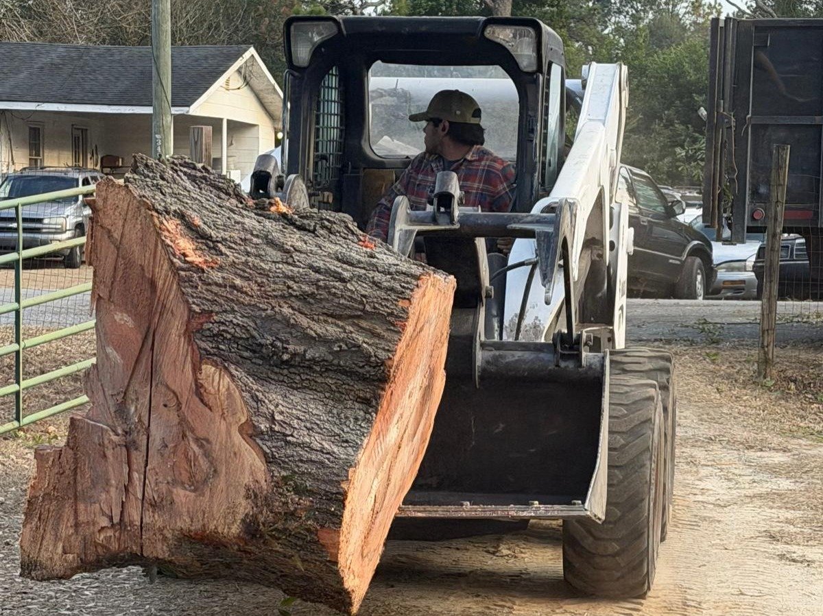 El Costeño Tree Service LLC